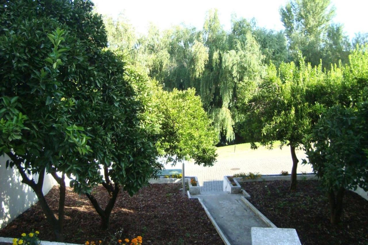 דירות Constância Casa Do Tejo מראה חיצוני תמונה