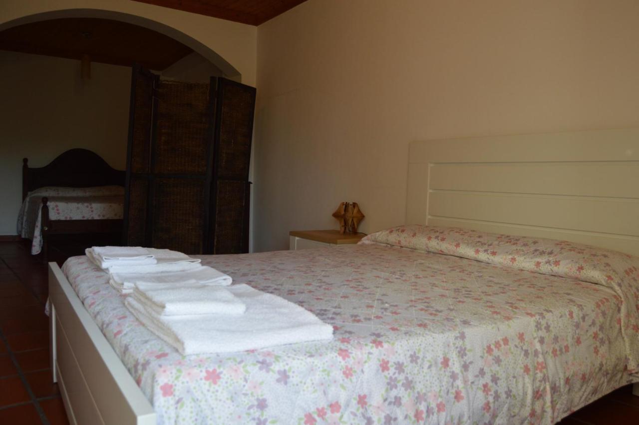 דירות Constância Casa Do Tejo מראה חיצוני תמונה